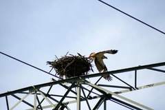 Killikus&reg; Fotographie